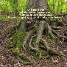 Kindness roots