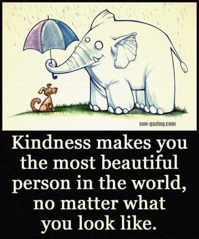 Elephant kindness